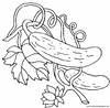 Lamina para colorear Dibujos de Hortalizas. Pepinos